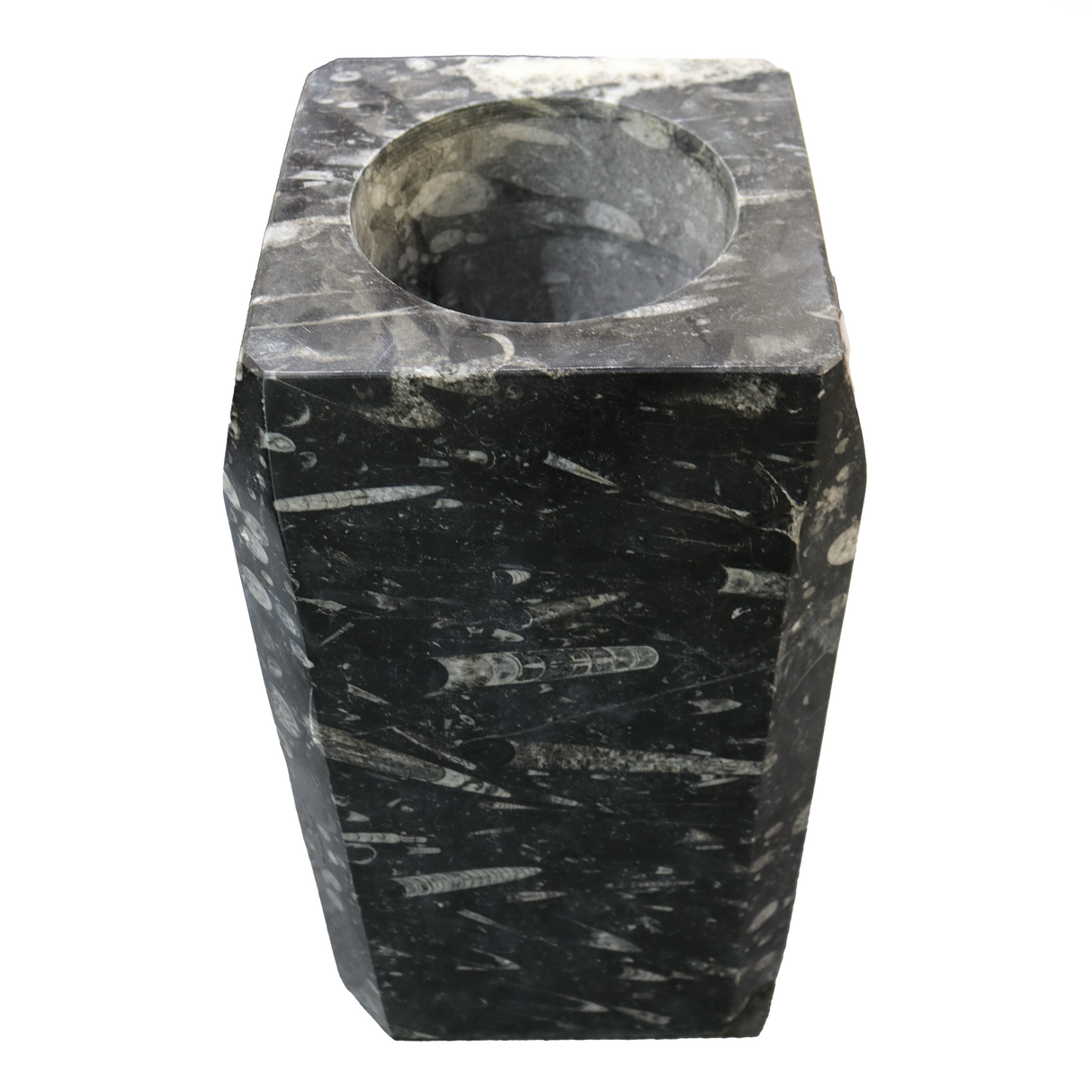 Orthoceras Fossil Seabed Vase With Lid