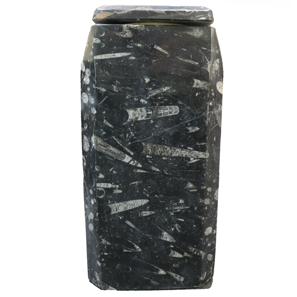 View of Orthoceras Fossil Seabed Vase With Lid