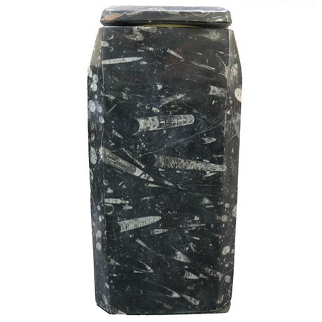 View of Orthoceras Fossil Seabed Vase With Lid