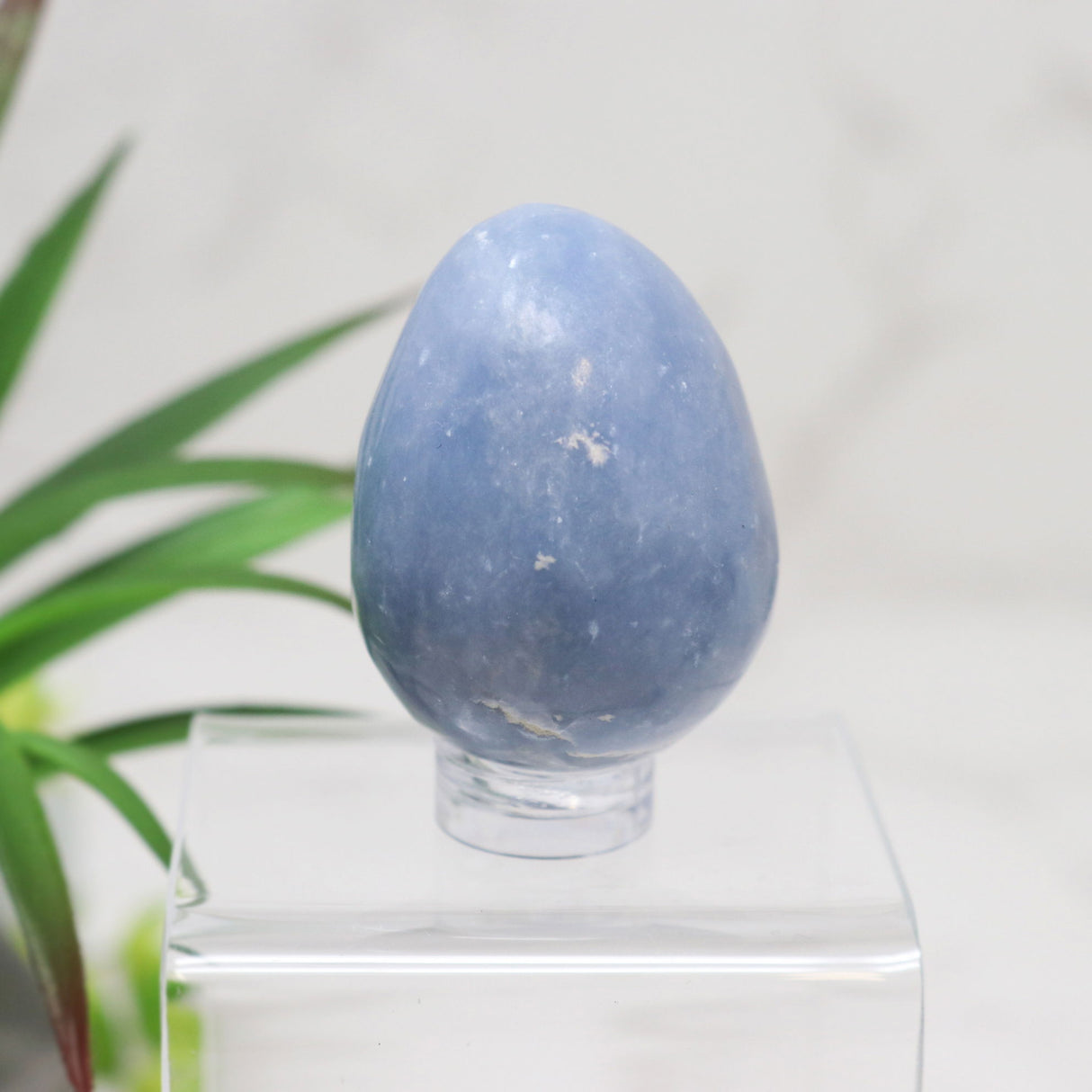 View of Angelite Carved Egg - Small