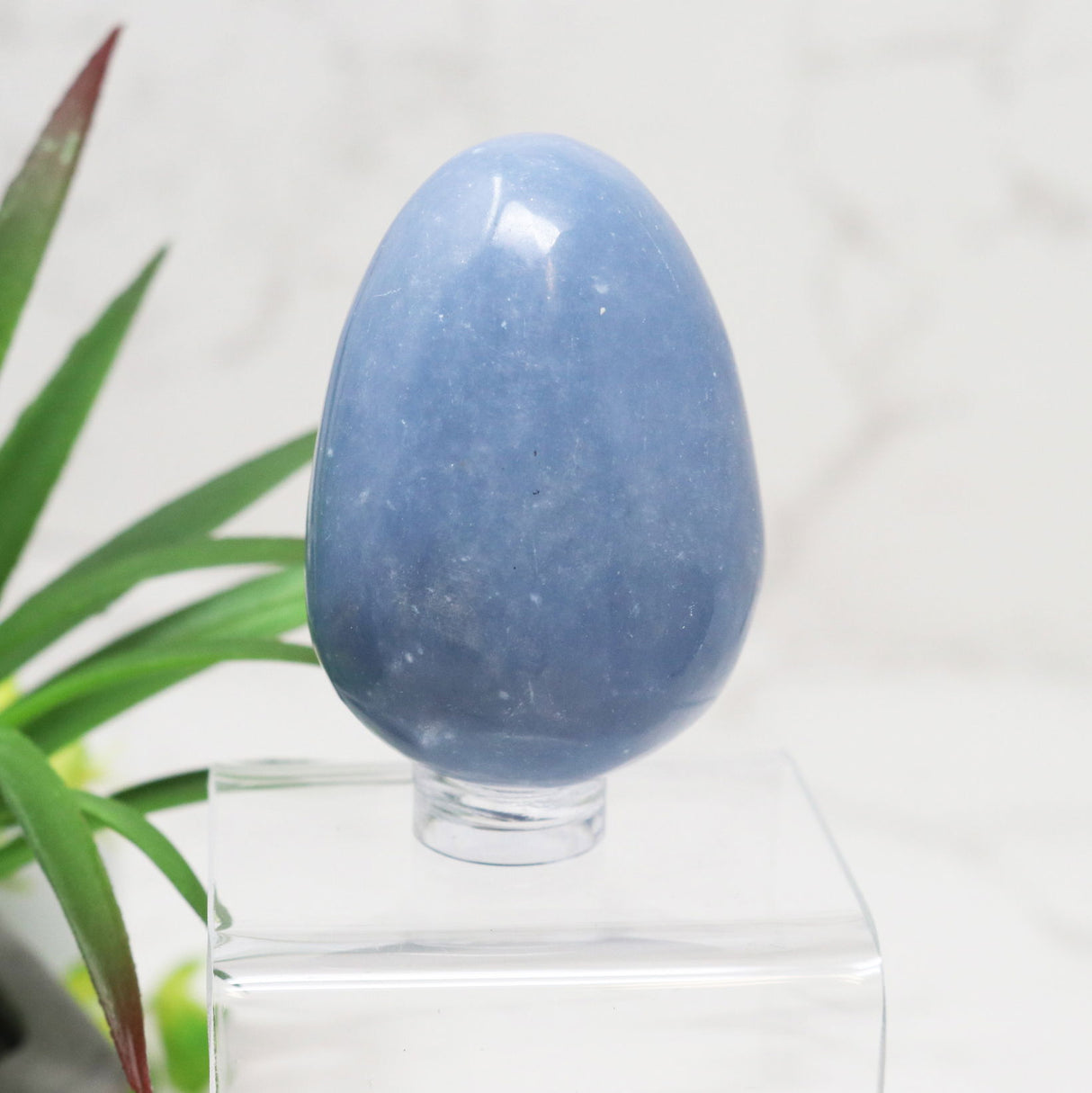 View of Angelite Carved Egg - Small