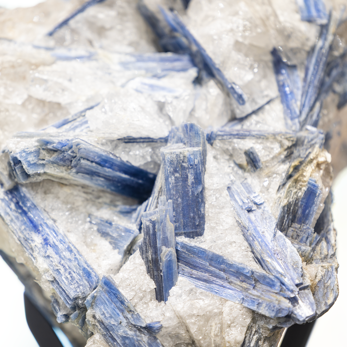 Kyanite Crystal Cluster in Custom Design Stand with 2-Tone Patina