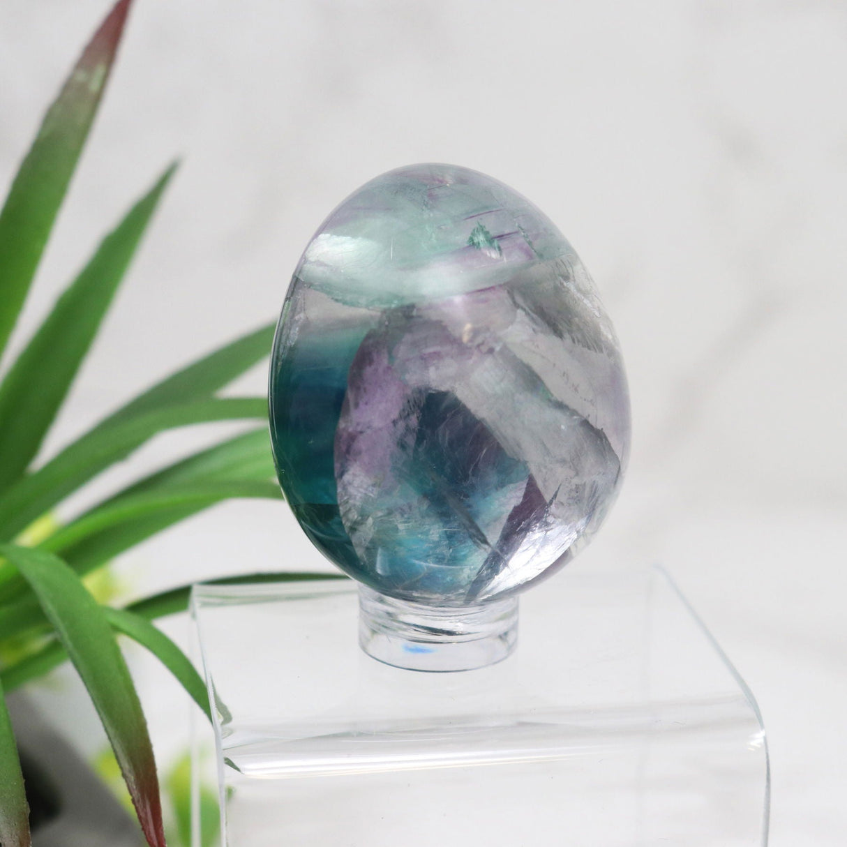 Rainbow Fluorite Carved Eggs - Small