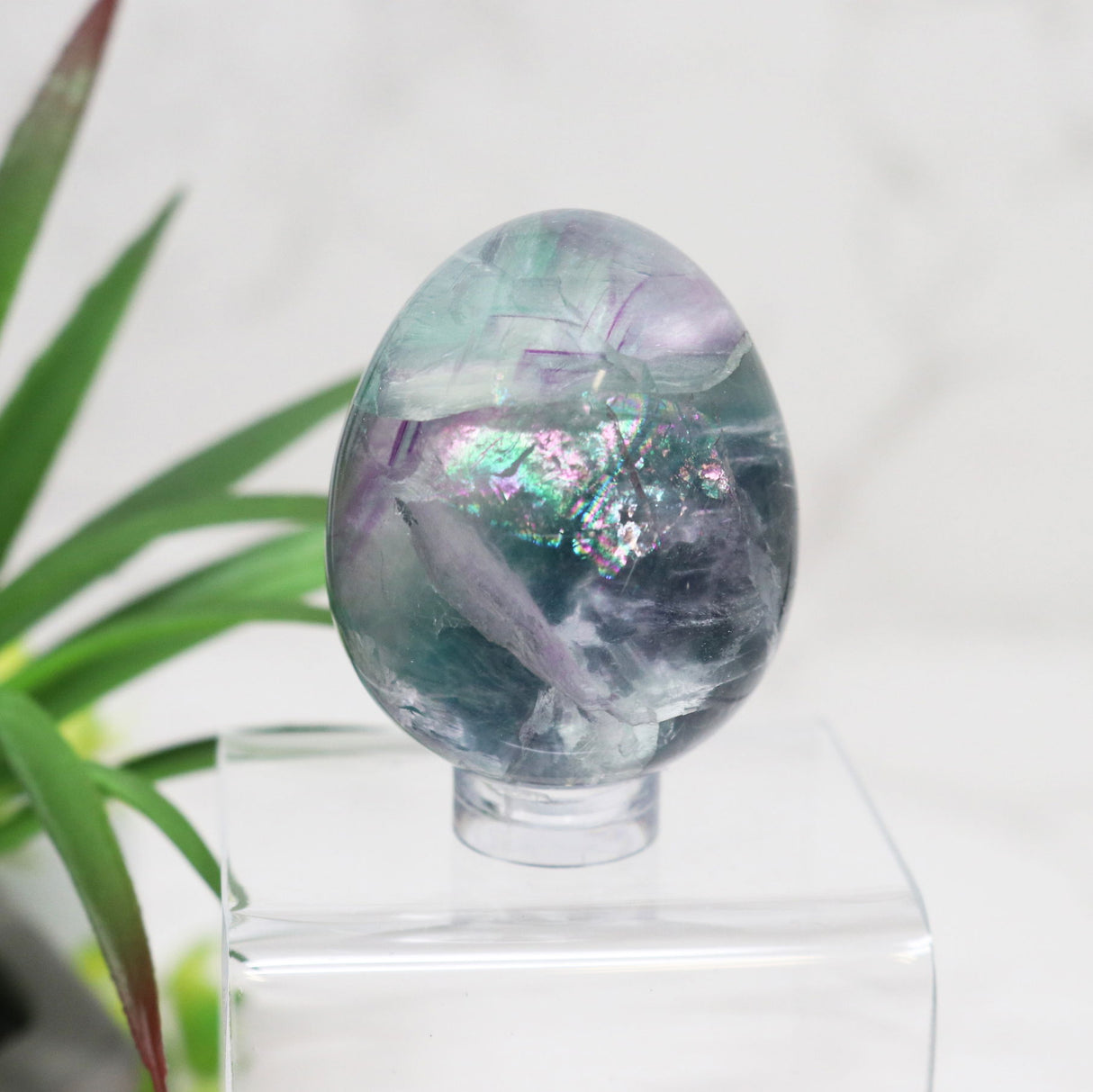 View of Rainbow Fluorite Carved Eggs - Small