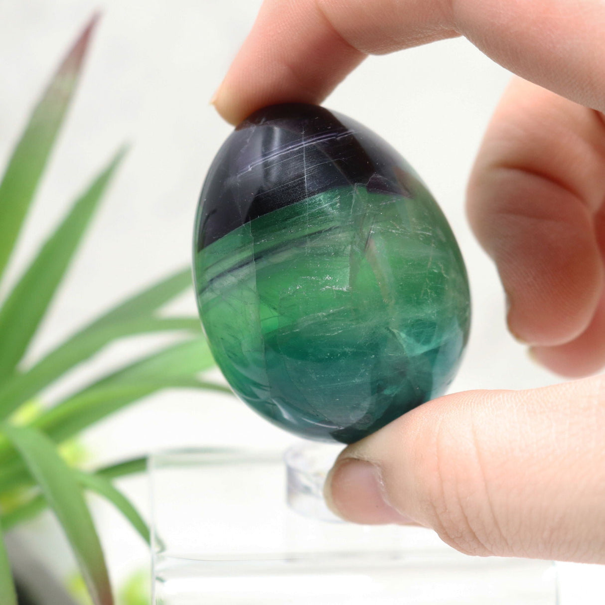 Rainbow Fluorite Carved Eggs - Small
