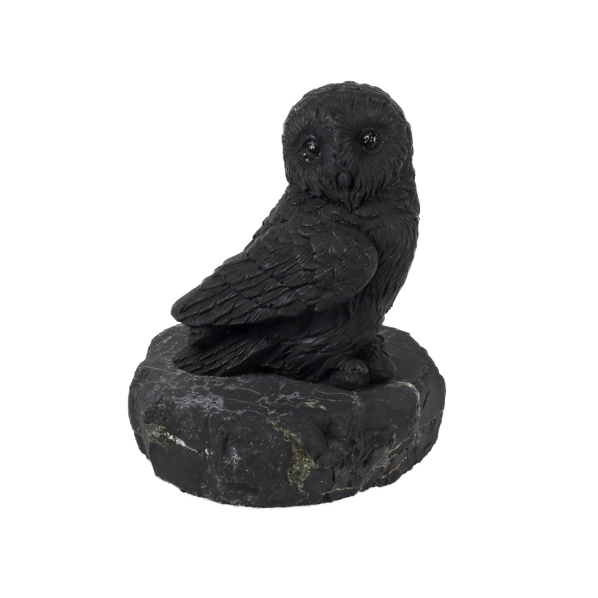 Shungite owl figurine perched on a rough shungite stone base, glossy black with carved feathers, front view