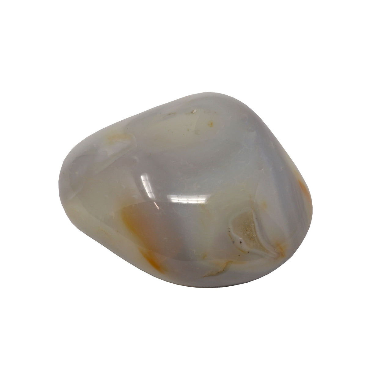 Agate Palm Stone with Hints of Orange