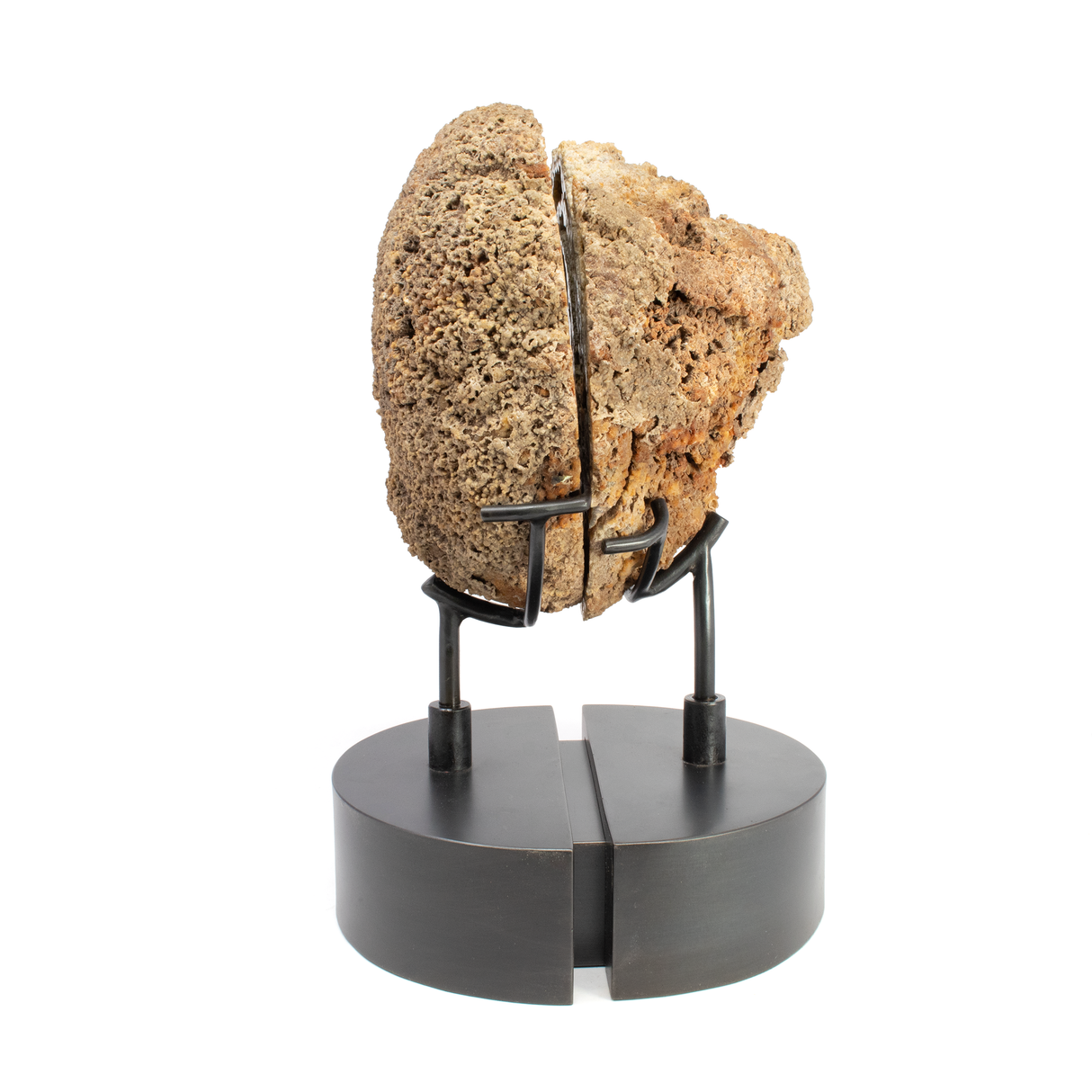 Agatized Fossilized Coral Head Pair In Custom Stand with Silde Open Design and Rotating Feature