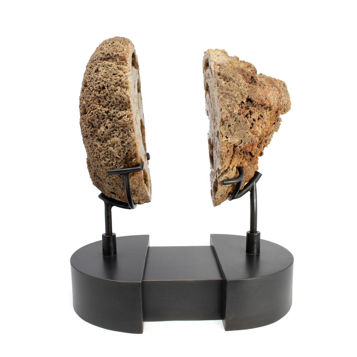 Agatized Fossilized Coral Head Pair In Custom Stand with Silde Open Design and Rotating Feature