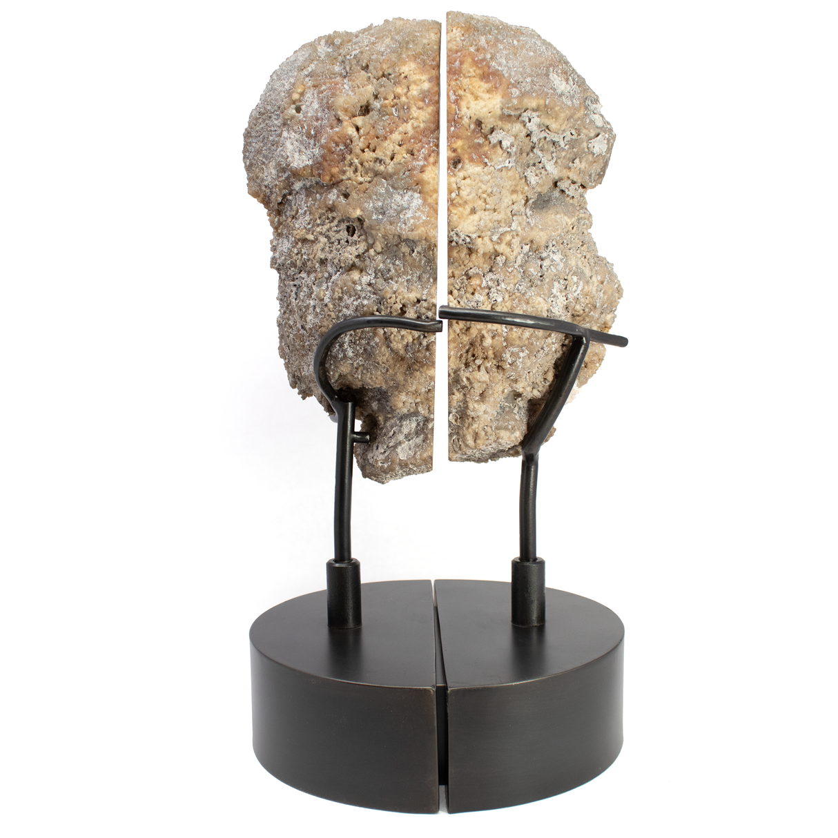 Agatized Fossilized Coral Head Pair In Custom Stand with Silde Open Design and Rotating Feature