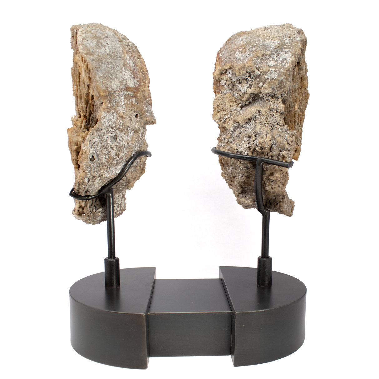 Agatized Fossilized Coral Head Pair In Custom Stand with Silde Open Design and Rotating Feature