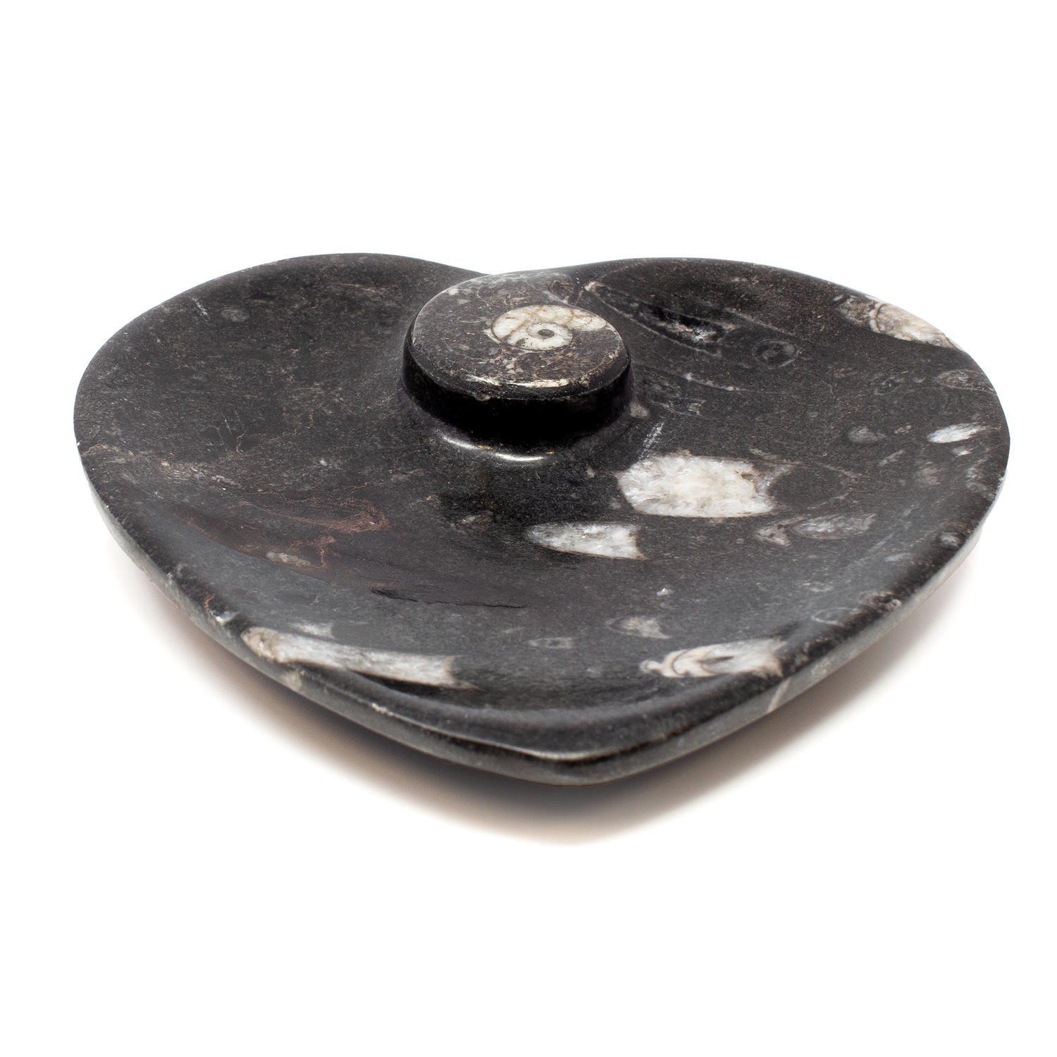 Orthoceras and Ammonite SeaBed Fossil Small Heart Dish
