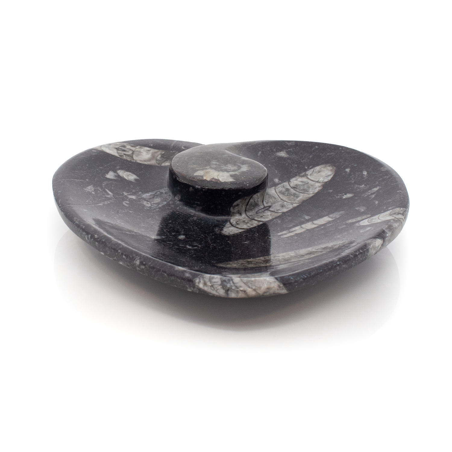 Orthoceras and Ammonite SeaBed Fossil Small Heart Dish