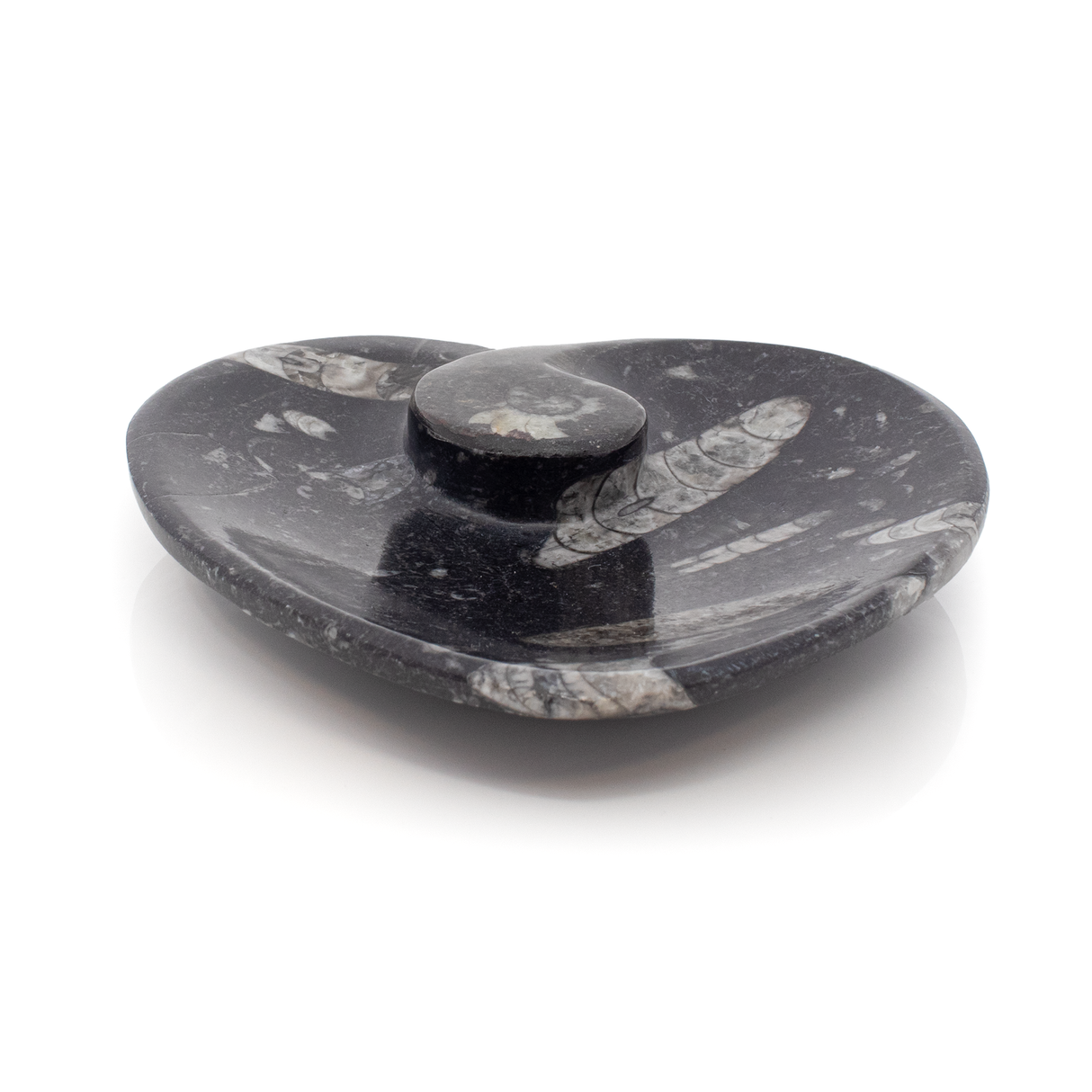 Orthoceras and Ammonite SeaBed Fossil Small Heart Dish