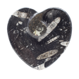 View of Orthoceras and Ammonite SeaBed Fossil Small Heart Dish