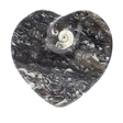 View of Orthoceras and Ammonite SeaBed Fossil Small Heart Dish
