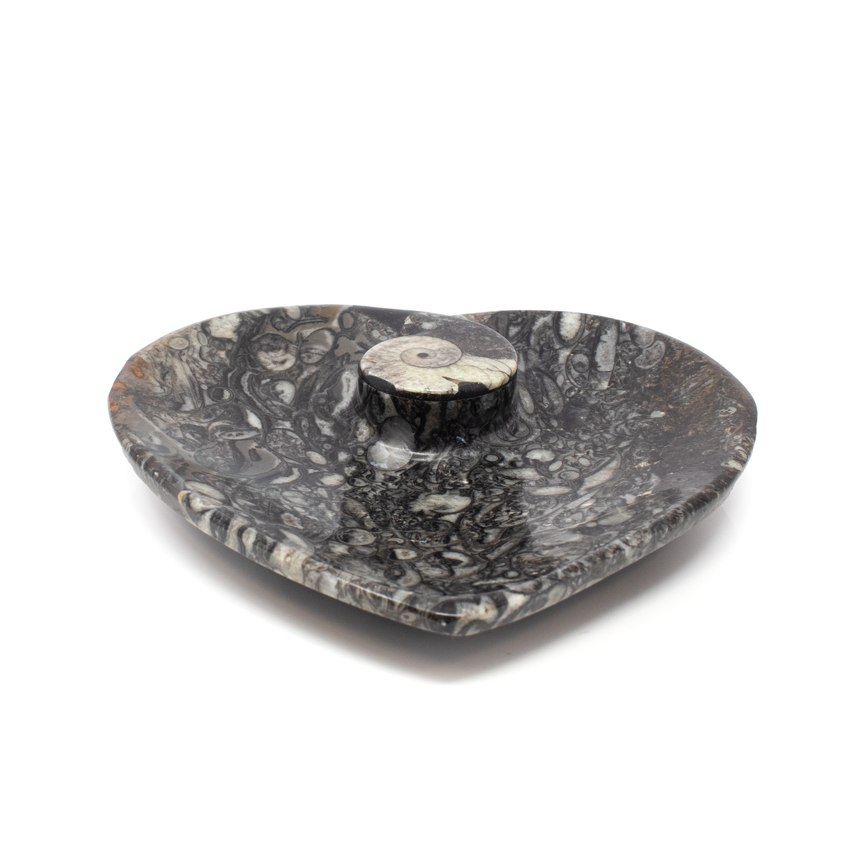 Orthoceras and Ammonite SeaBed Fossil Small Heart Dish