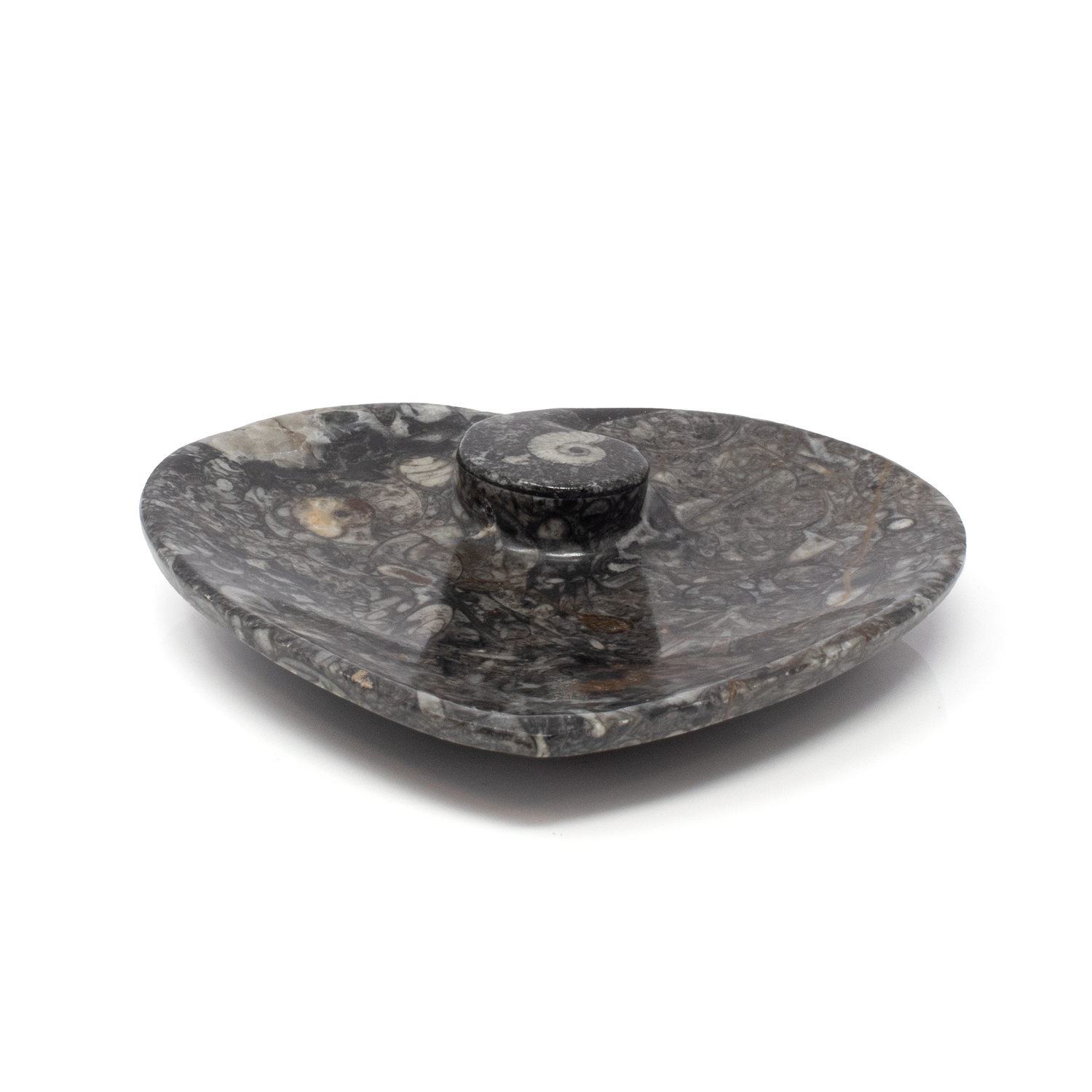 Orthoceras and Ammonite SeaBed Fossil Small Heart Dish
