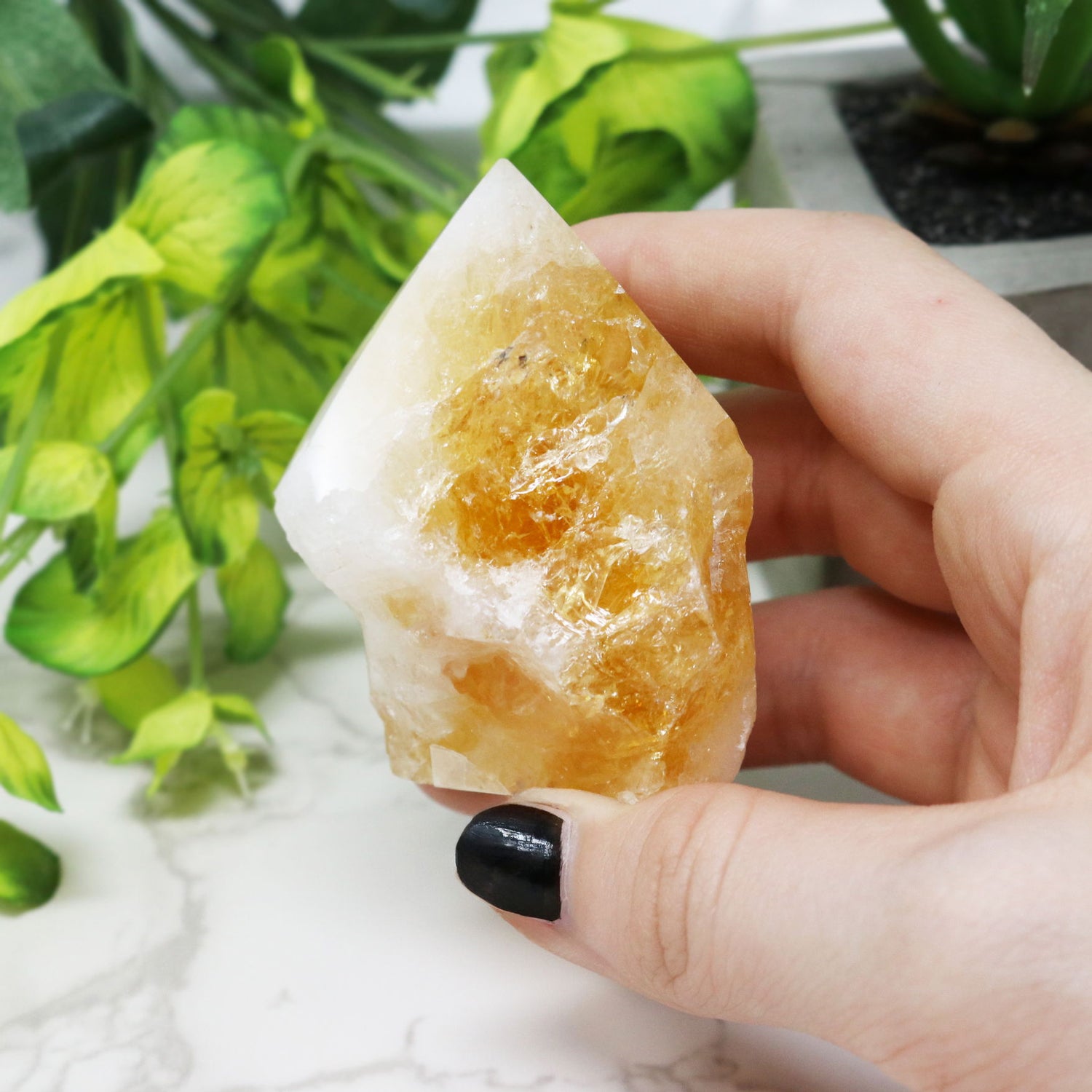 View of Polished Citrine Points with Cut Base