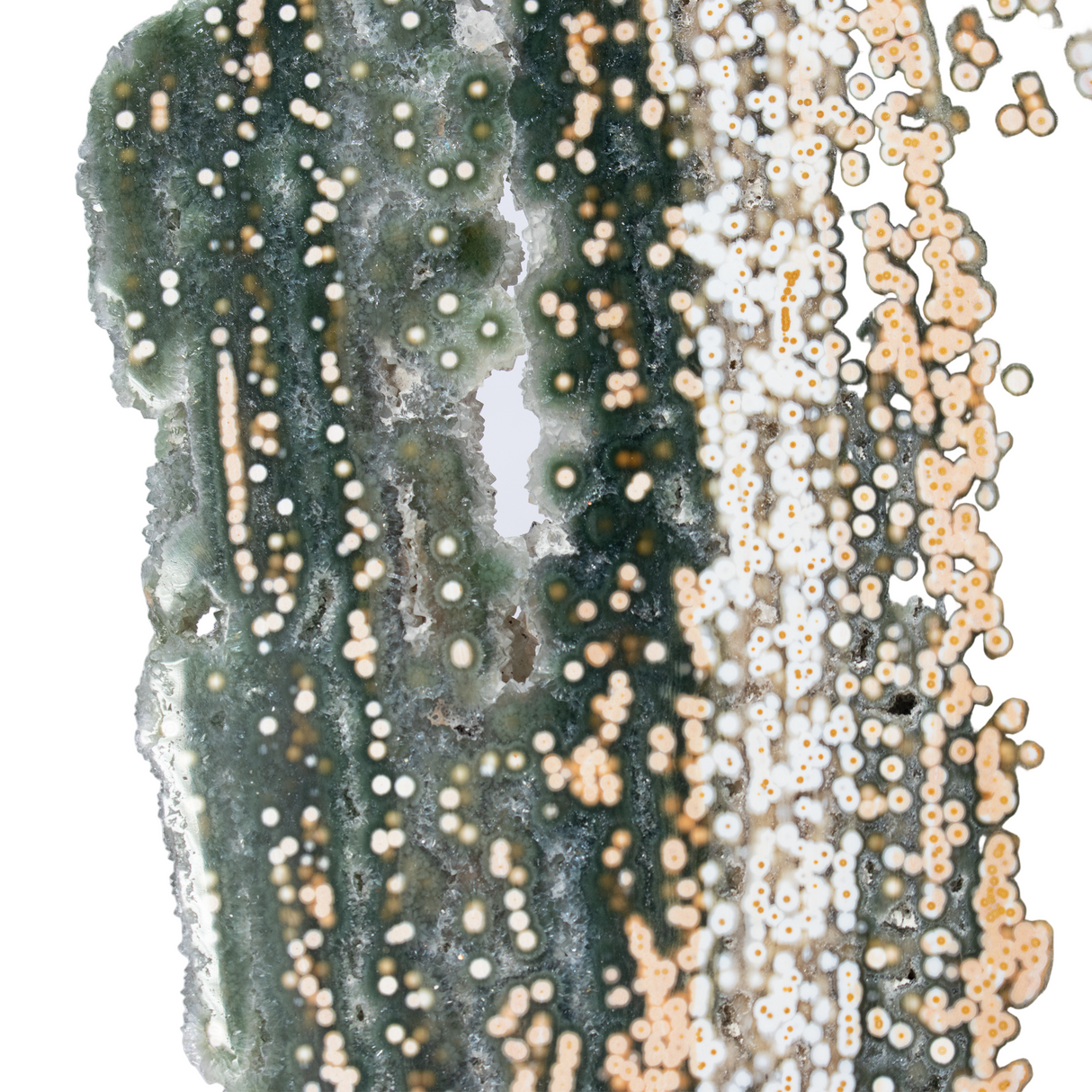 A++ Quality Ocean Jasper Slice on Custom Stand from Madagascar