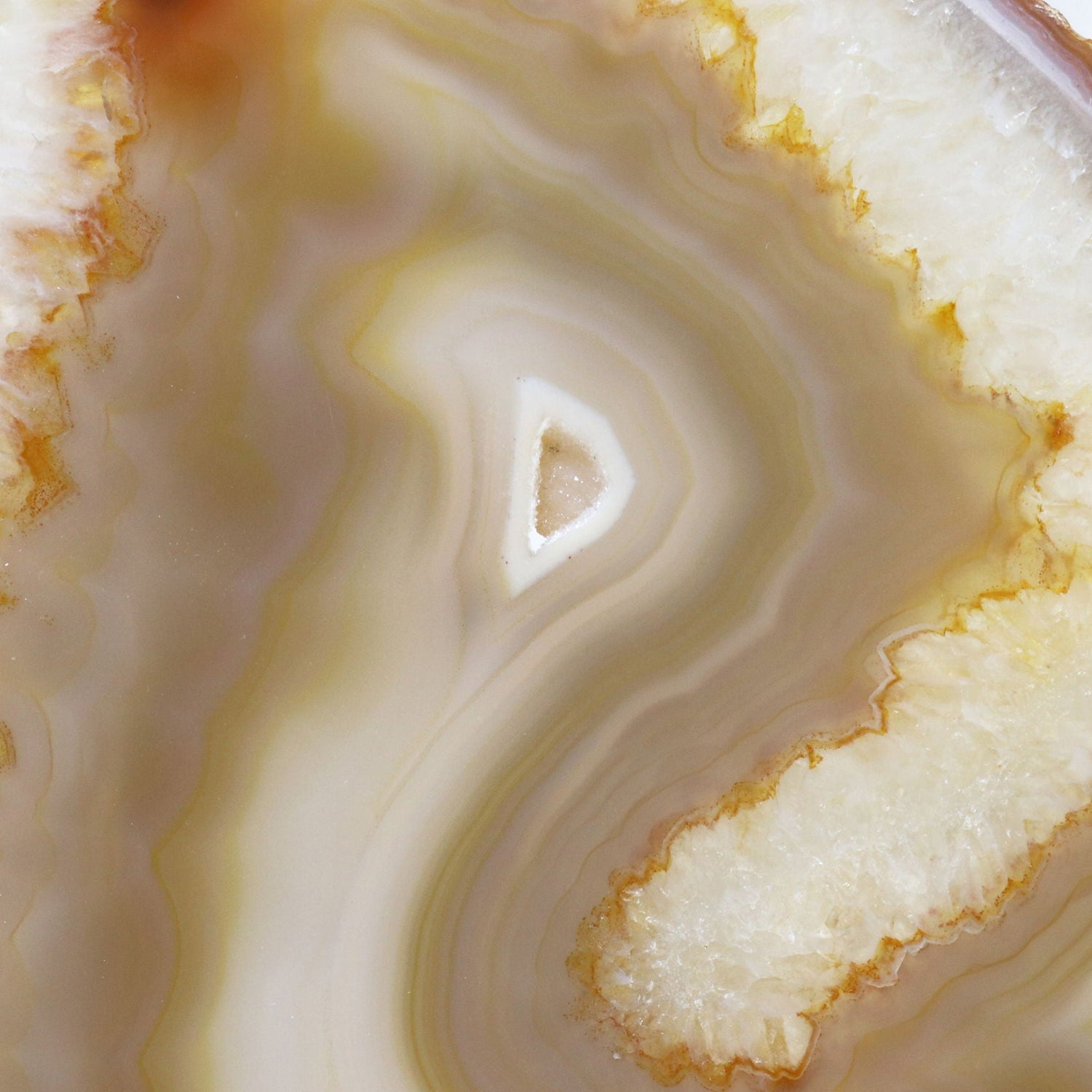 Agate Druze Slice on Screw Stand - Carnelian & Quartz Multi Banded with Mini White Druze Pocket in Center & Double-Sided Polish
