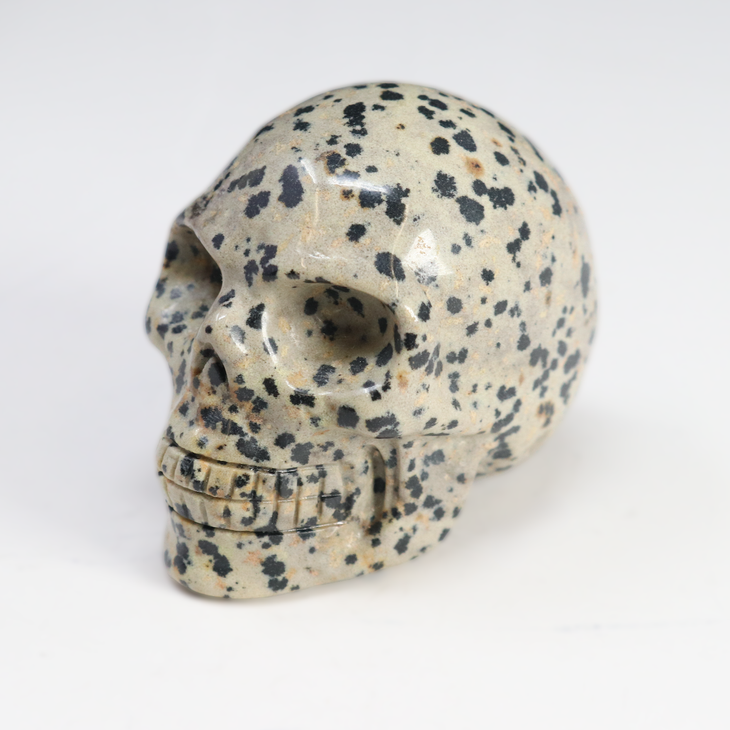 Dalmatian Jasper Skull Carving