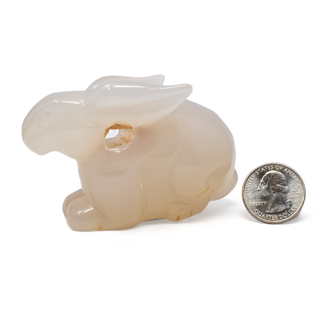 View of Agate Druze Geode Rabbit Carving