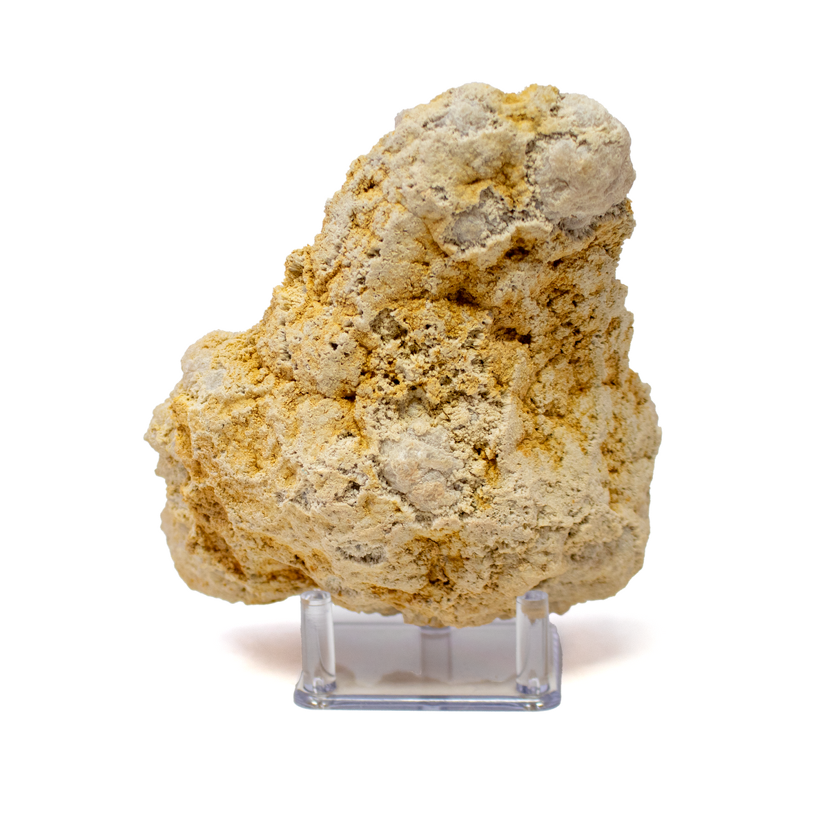 Silicon Oxide Geode With Cut Face On Lucite Stand