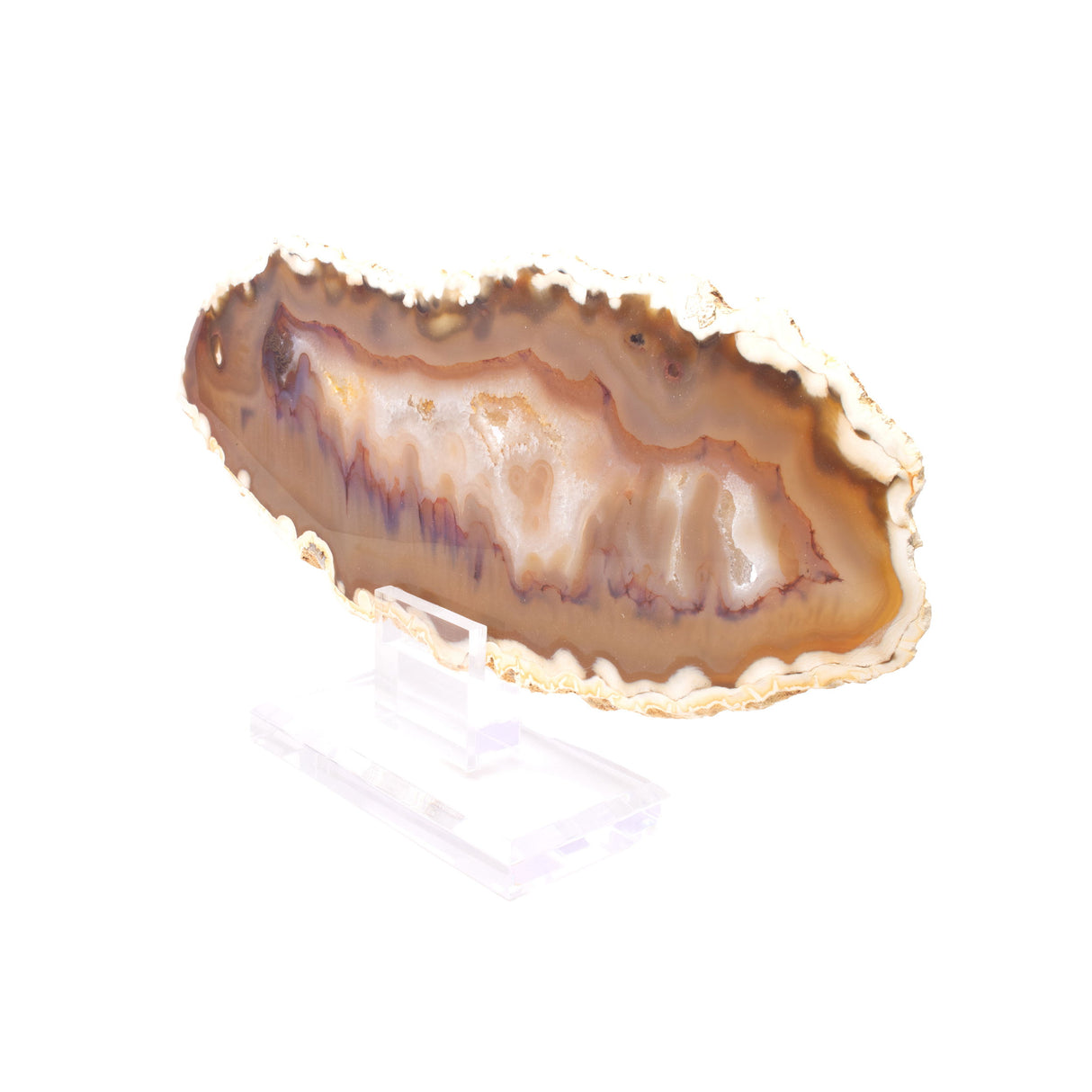 Carnelian Agate Slice on Acrylic Screw Stand with Carmel White Edges
