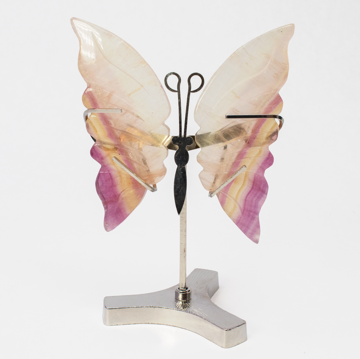 View of Rainbow Fluorite Butterfly Wings Carving with Stand