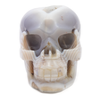 View of Agate Druze Geode Skull Carving