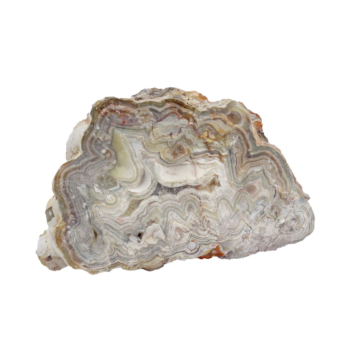 Laguna Lace Agate End Cut - Dense Gray and White Banding on Lucite Stand