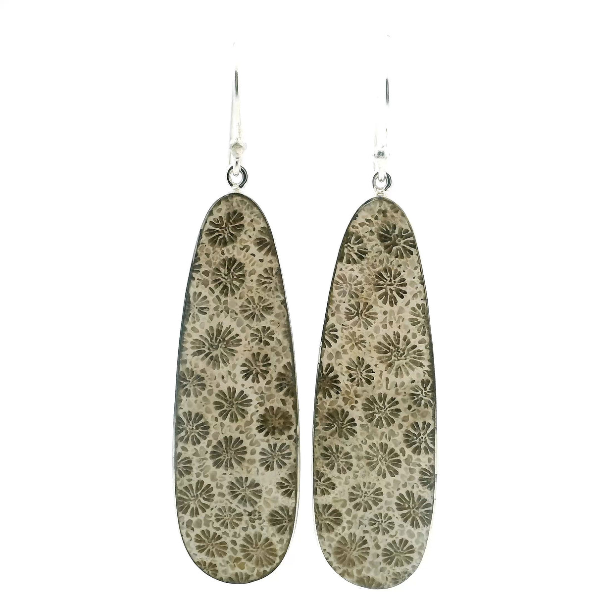 View of Fossilized Coral Dangle Earrings - Elongated Oval Cabochon with 925 Sterling Silver Bezel