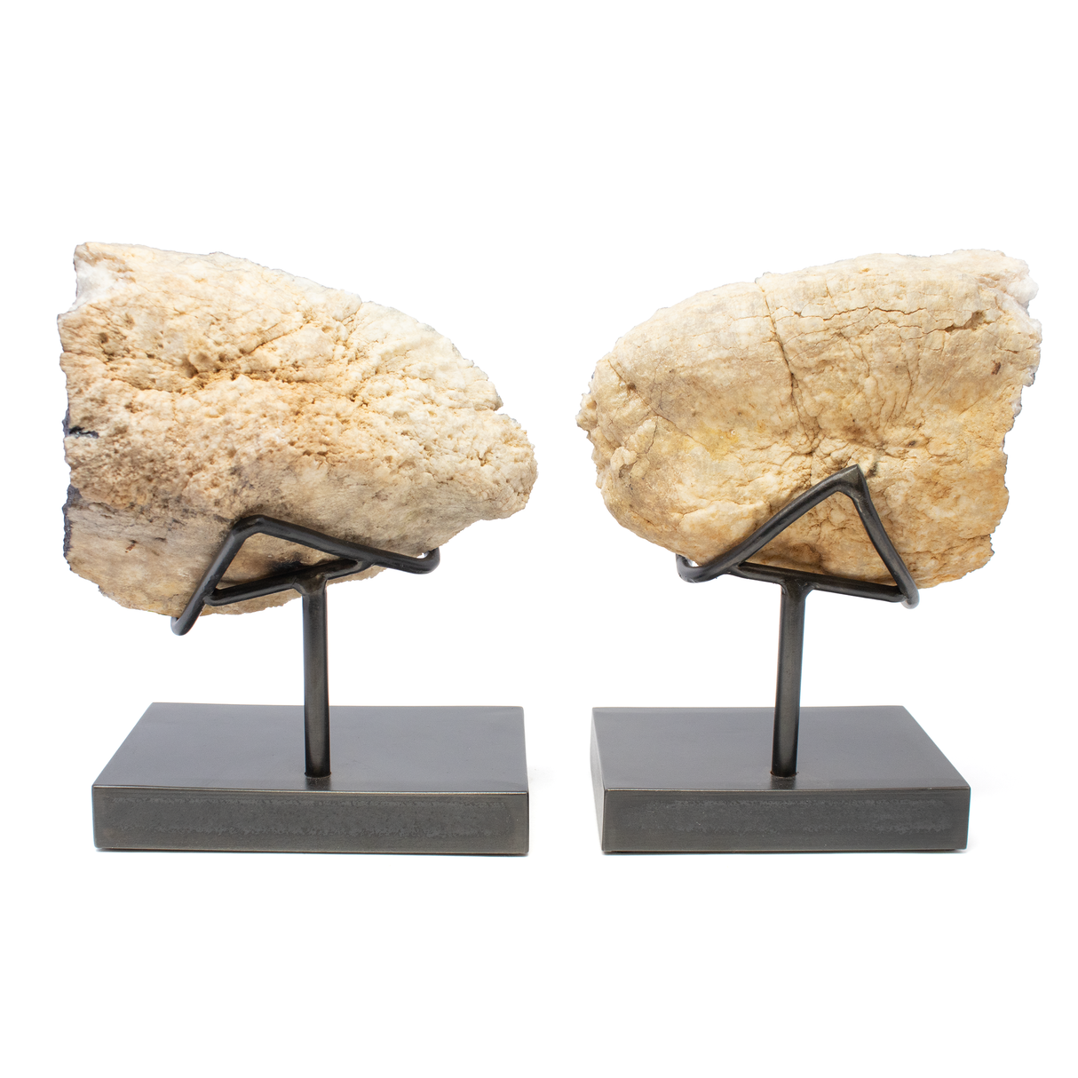 Black Titanium Moroccan Geode Pair in Custom Patina Stand