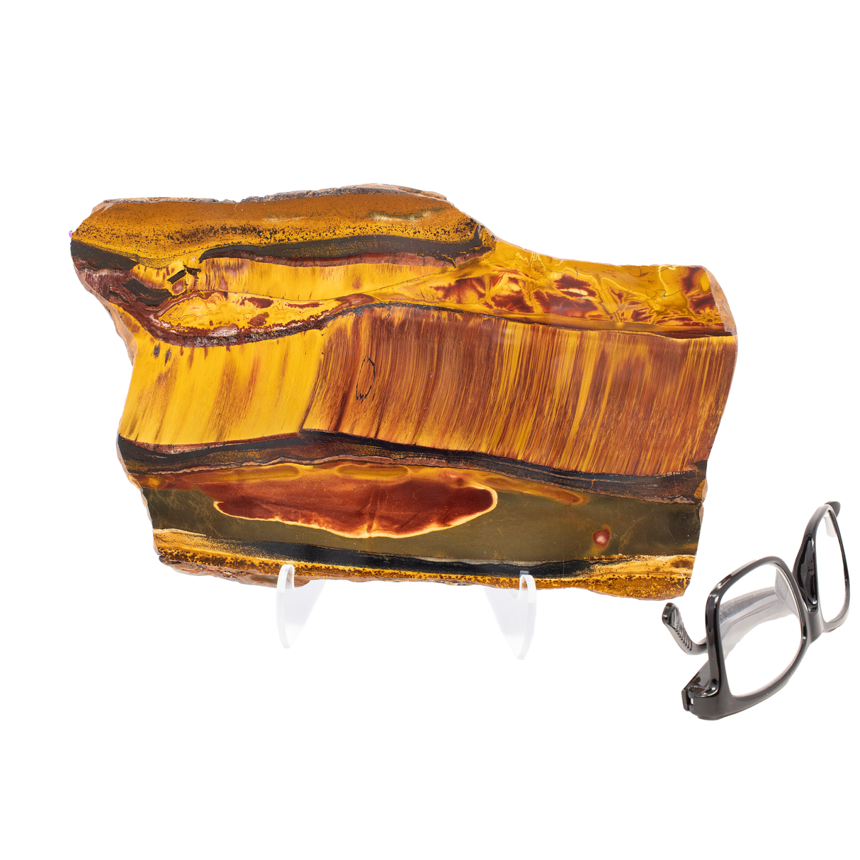 Mara Mamba Tiger Eye Slice - Freeform with Lucite Easel from Australia