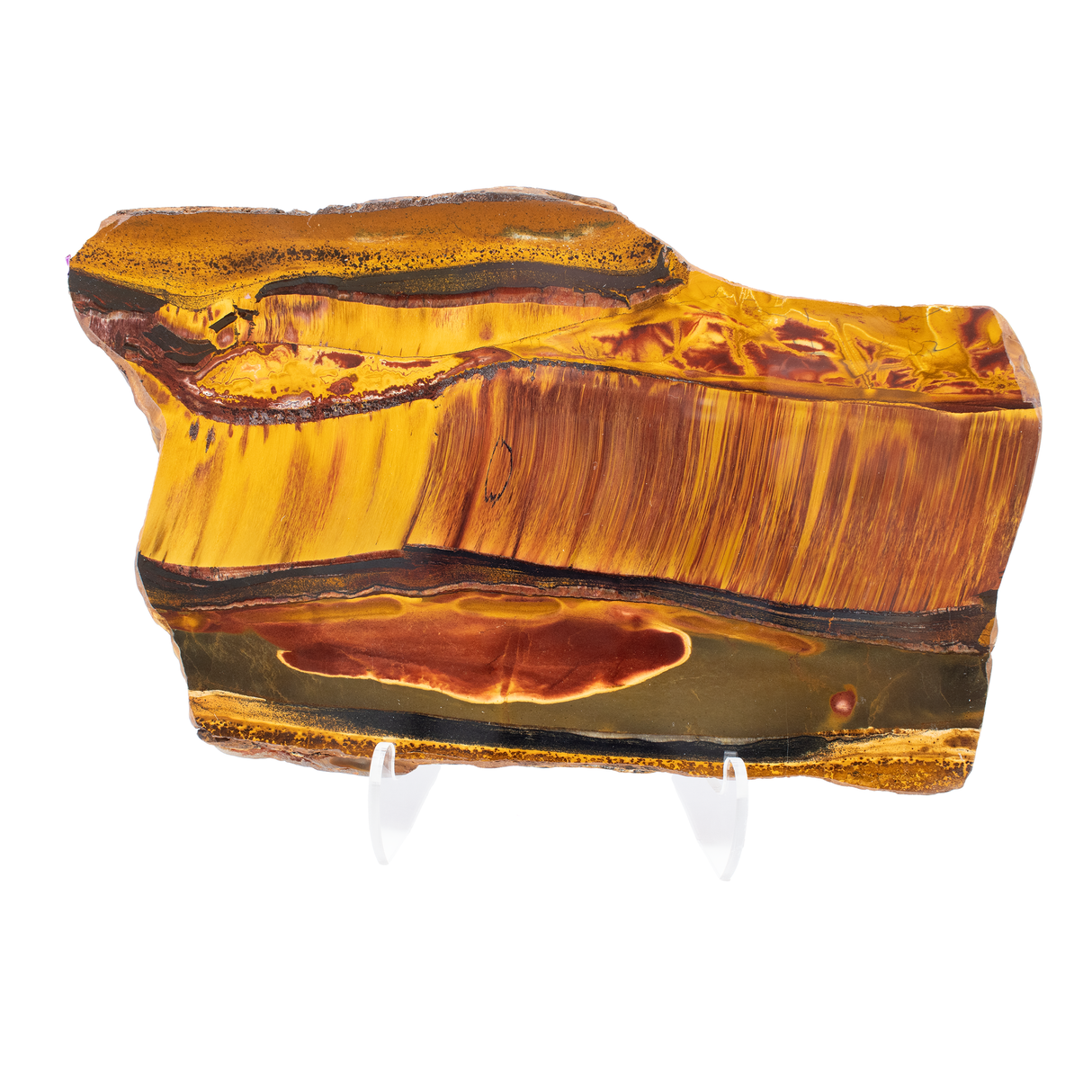 View of Mara Mamba Tiger Eye Slice - Freeform with Lucite Easel from Australia