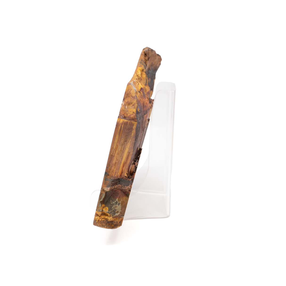 Mara Mamba Tiger Eye Slice - Freeform with Lucite Easel from Australia