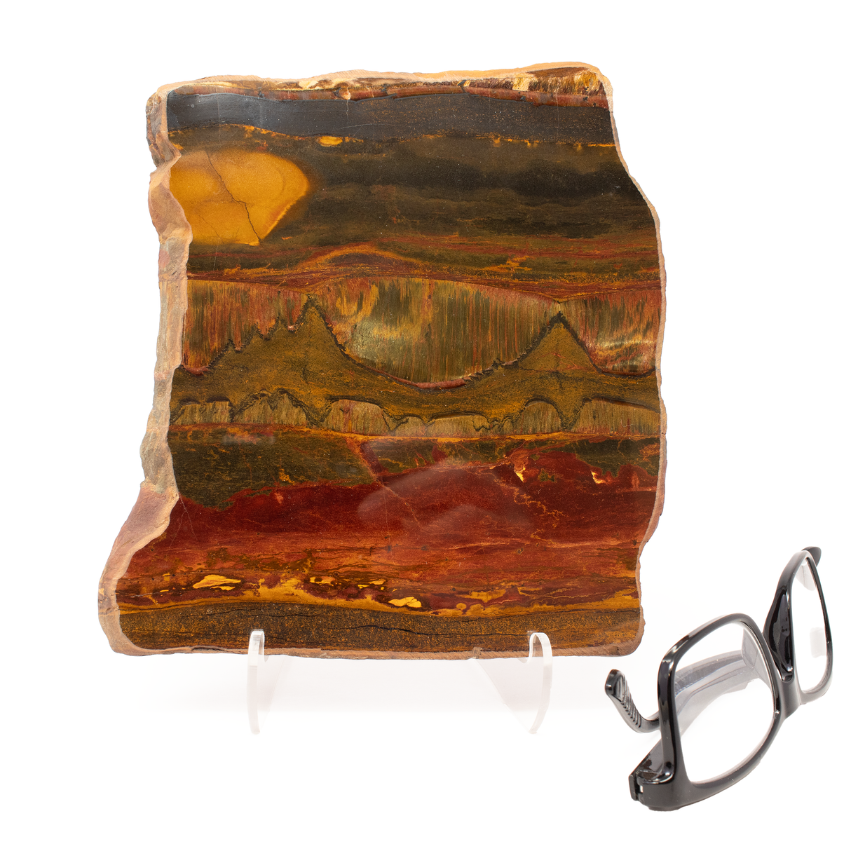 Mara Mamba Tiger Eye Slice - Freeform with Lucite Easel from Australia