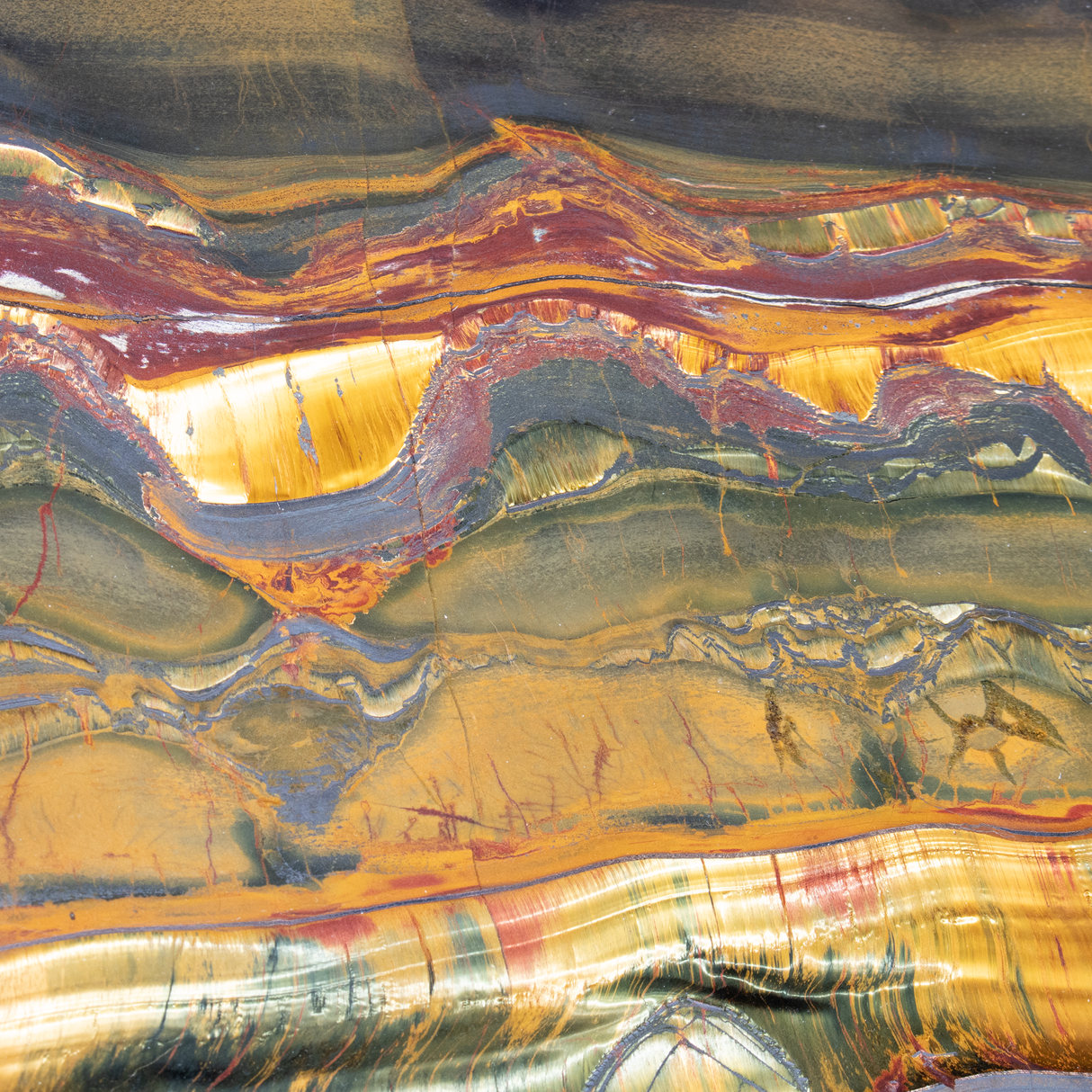 Mara Mamba Tiger Eye Slice - Extra Large