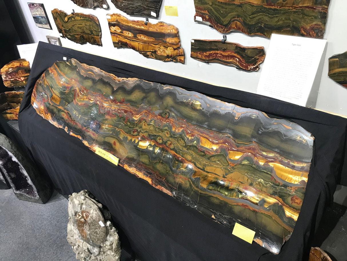 Mara Mamba Tiger Eye Slice - Extra Large