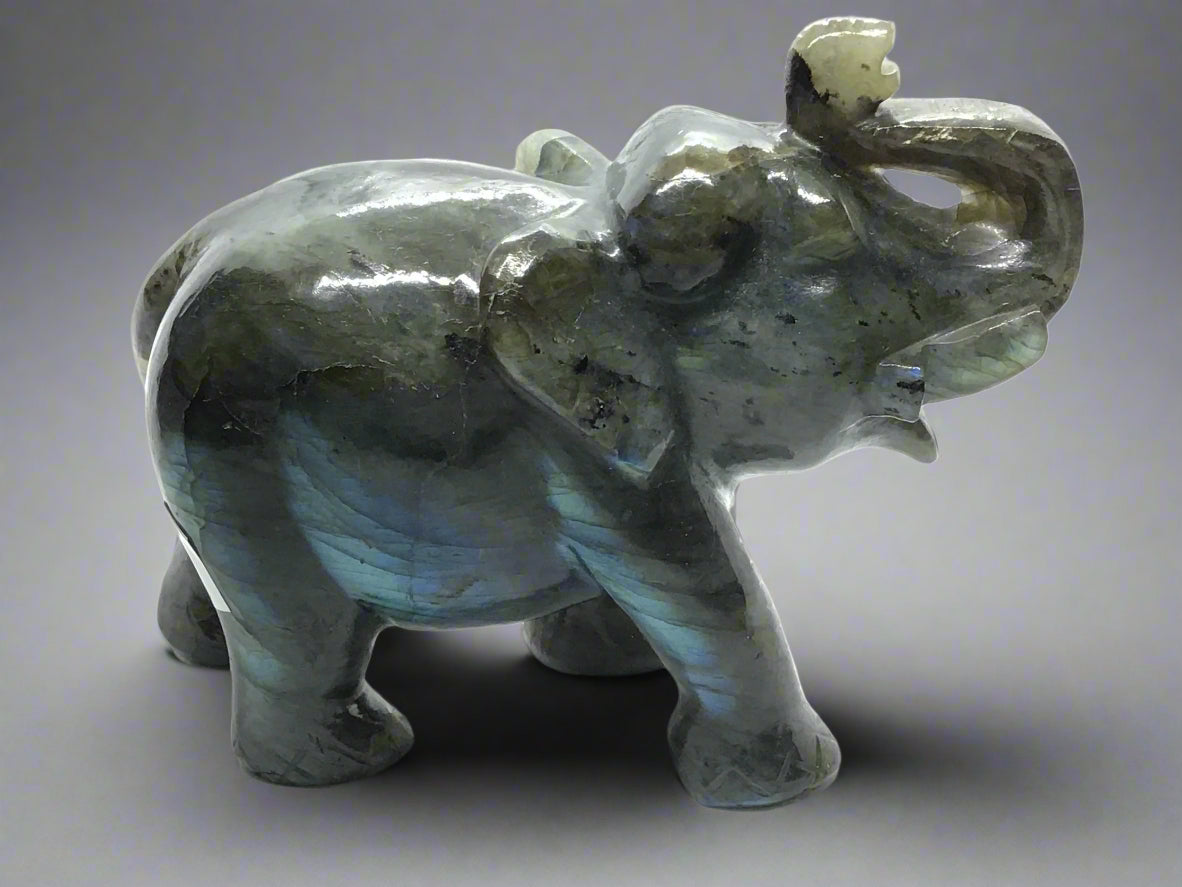 View of Labradorite Elephant Carving
