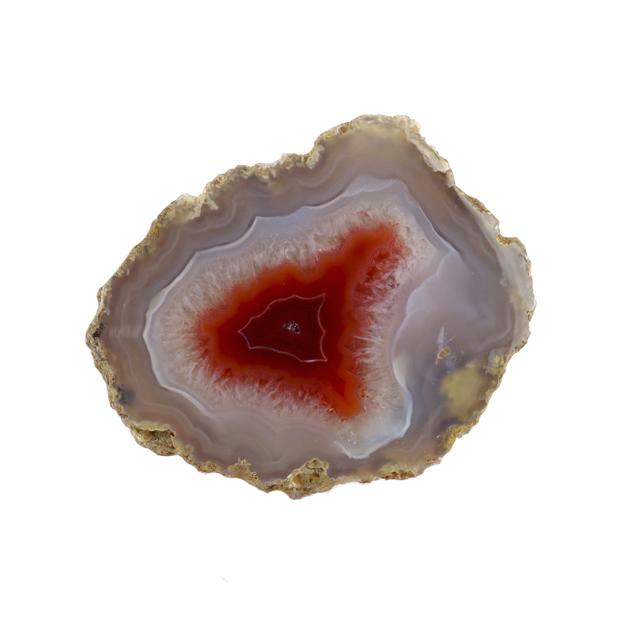 Laguna Agate Geode - Red & Maroon Center with Crystal Banding