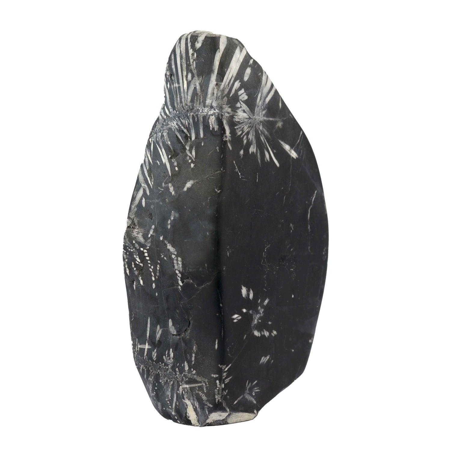 Large Chrysanthemum Stone