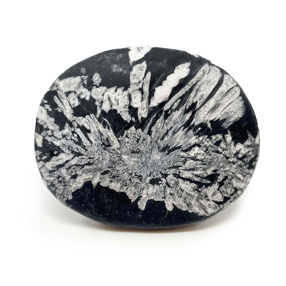 Chrysanthemum Palm Stone Medium