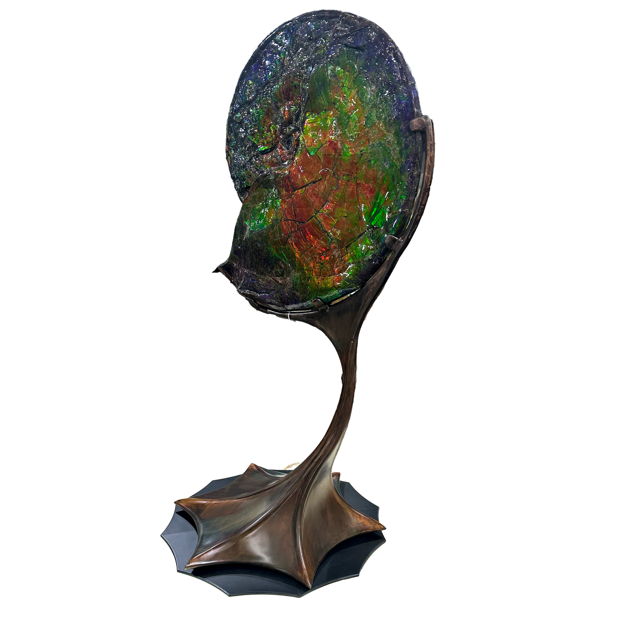 A+ Ammonlite Fossil in Custom Rotating Stand - Whole with Vibrant Colors in Theatrical Design Stand with Patina Finish