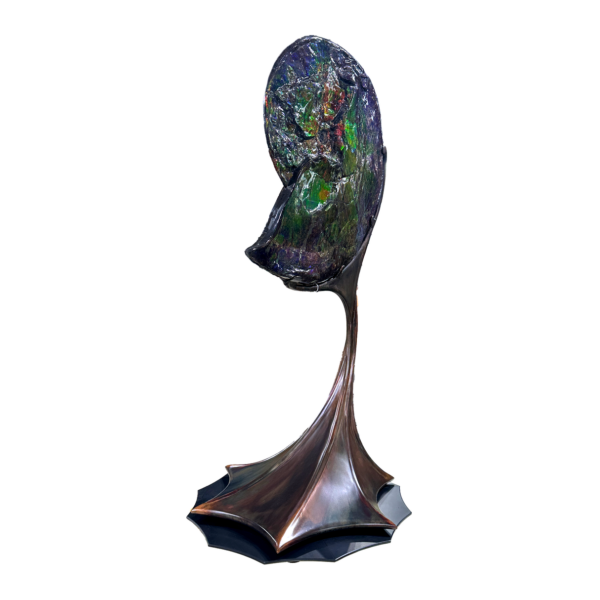 A+ Ammonlite Fossil in Custom Rotating Stand - Whole with Vibrant Colors in Theatrical Design Stand with Patina Finish