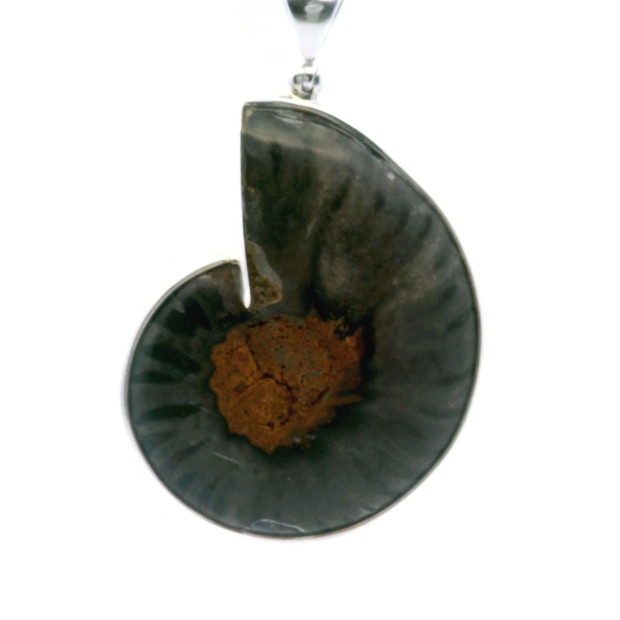 Ammonite Fossil Pendant - Open Ammonite Cross-section Inlaid with Bumblebee Jasper in Small Orange & Yellow Inlays & Dark Background Bezel Set in 925 Sterling Silver