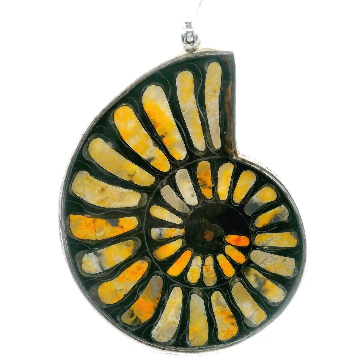 View of Ammonite Fossil Pendant - Open Ammonite Cross-section Inlaid with Bumblebee Jasper in Small Orange & Yellow Inlays & Dark Background Bezel Set in 925 Sterling Silver