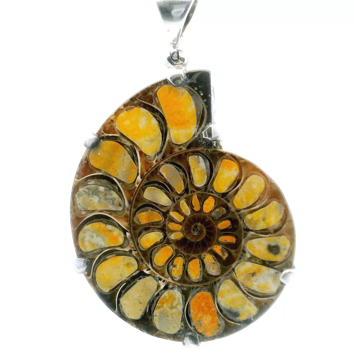 View of Ammonite Fossil Pendant - Open Ammonite Cross-section Inlaid with Bumblebee Jasper Prong Set in 925 Sterling Silver with Swirled Accent on Reverse