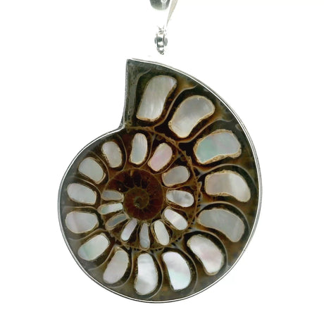 View of Ammonite Fossil Pendant - Open Ammonite Cross-section Inlaid with Mother of Pearl & Bezel Set in 925 Sterling Silver